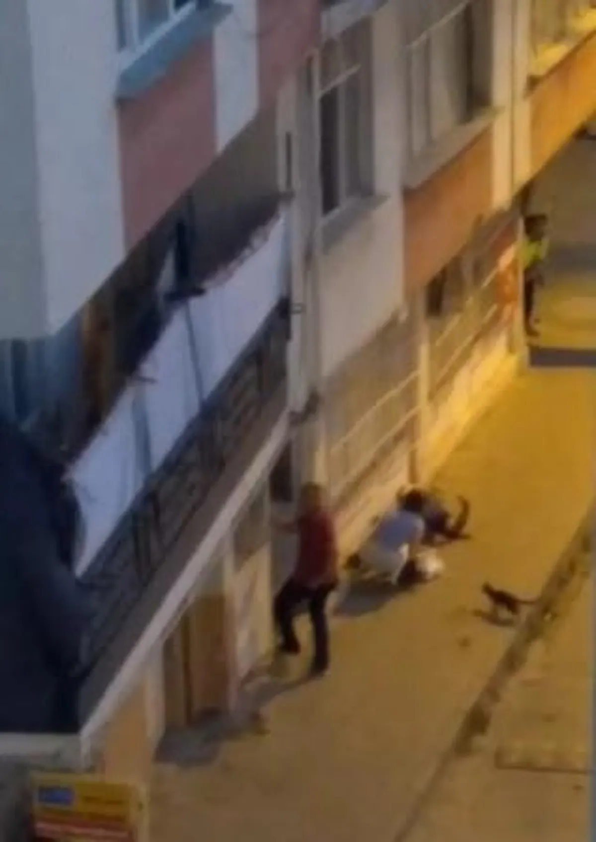 Bursa'da hareketli dakikalar: Ev sahibi ile kavga eden kiracı, müdahale eden polisi vurup intihar etti